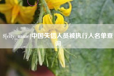 太康中国失信人员被执行人名单查询