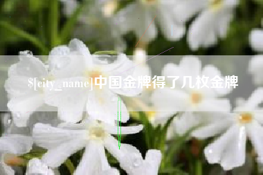 太康中国金牌得了几枚金牌