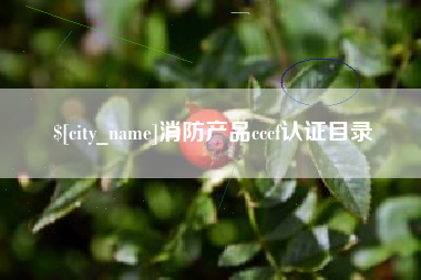 太康消防产品cccf认证目录