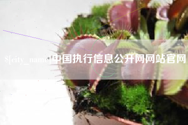 太康中国执行信息公开网网站官网