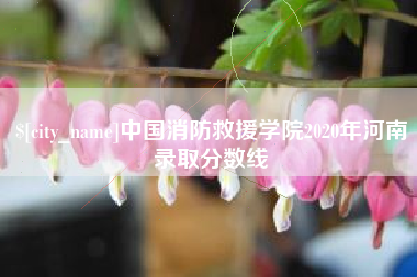 太康中国消防救援学院2020年河南录取分数线