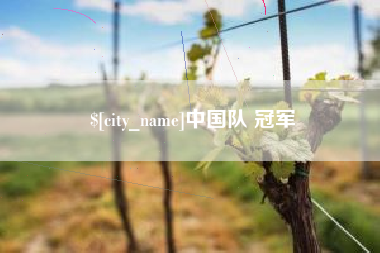 太康中国队 冠军