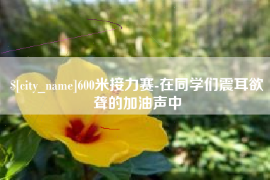 太康600米接力赛-在同学们震耳欲聋的加油声中