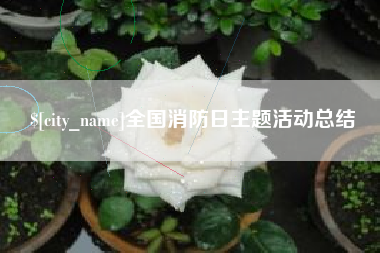 太康全国消防日主题活动总结