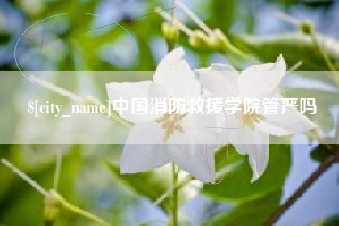 太康中国消防救援学院管严吗