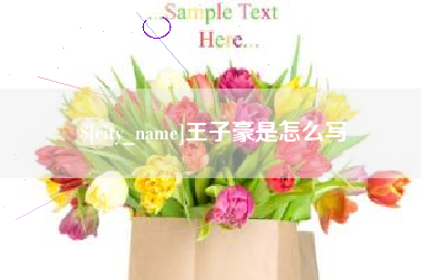 太康王子豪是怎么写