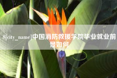太康中国消防救援学院毕业就业前景如何