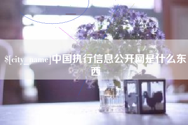 太康中国执行信息公开网是什么东西