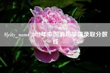 太康2021年中国消防学院录取分数线