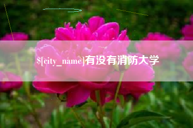 太康有没有消防大学