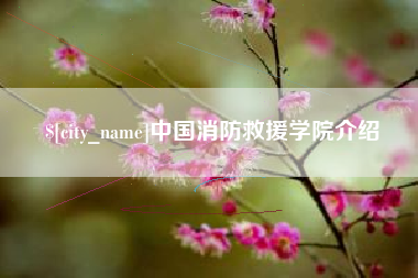 太康中国消防救援学院介绍
