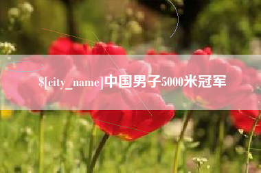 太康中国男子5000米冠军
