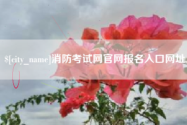 太康消防考试网官网报名入口网址