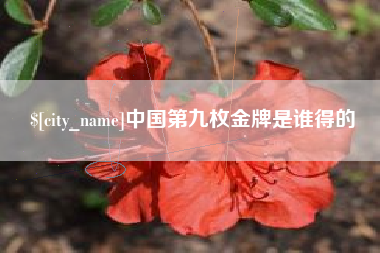 太康中国第九枚金牌是谁得的