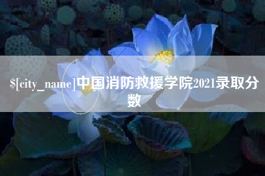 太康中国消防救援学院2021录取分数