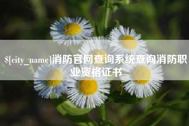 太康消防官网查询系统查询消防职业资格证书