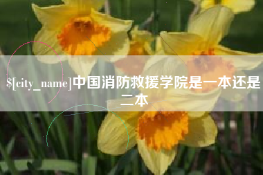 太康中国消防救援学院是一本还是二本