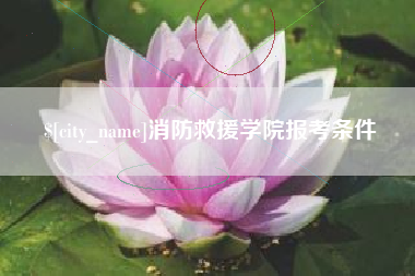 太康消防救援学院报考条件
