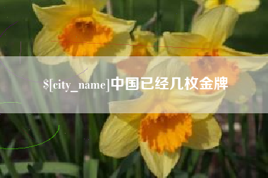 太康中国已经几枚金牌