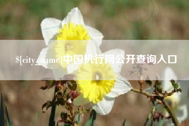 太康中国执行网公开查询入口