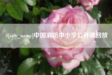 太康中国消防中小学公开课回放