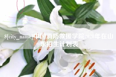 太康中国消防救援学院2020年在山东招生计划表