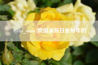 太康我国消防日是每年的