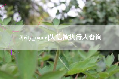 太康失信被执行人杳询