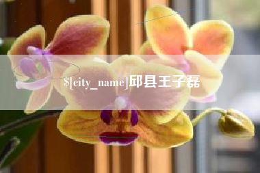 太康邱县王子磊