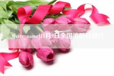 太康11月9日全国消防日图片