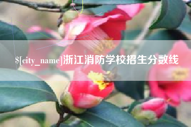 太康浙江消防学校招生分数线
