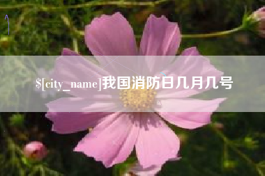 太康我国消防日几月几号