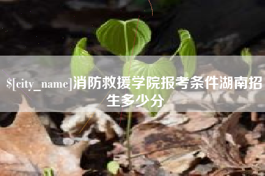 太康消防救援学院报考条件湖南招生多少分