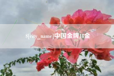 太康中国金牌18金