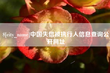 太康中国失信被执行人信息查询公开网址