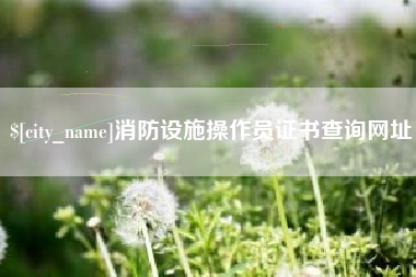 太康消防设施操作员证书查询网址