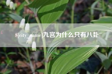 太康九宫为什么只有八卦