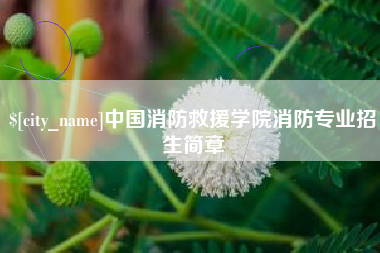 太康中国消防救援学院消防专业招生简章