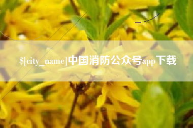 太康中国消防公众号app下载
