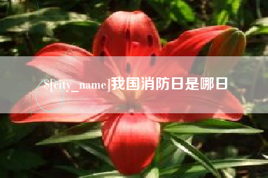 太康我国消防日是哪日