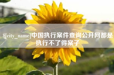 太康中国执行案件查询公开网都是执行不了得案子