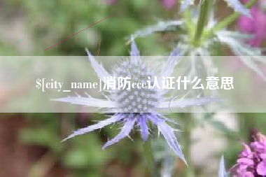 太康消防ccc认证什么意思