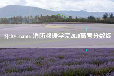 太康消防救援学院2020高考分数线