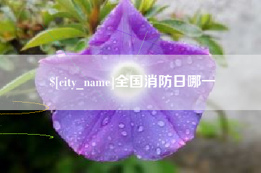 太康全国消防日哪一