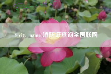 太康消防证查询全国联网