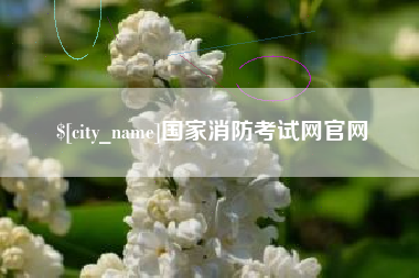太康国家消防考试网官网