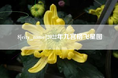 太康2022年九宫格飞星图