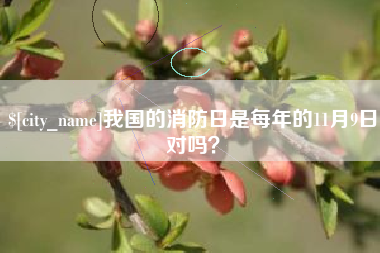 太康我国的消防日是每年的11月9日对吗？