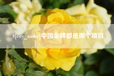 太康中国金牌都是哪个项目