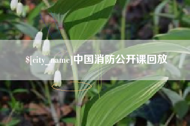 太康中国消防公开课回放